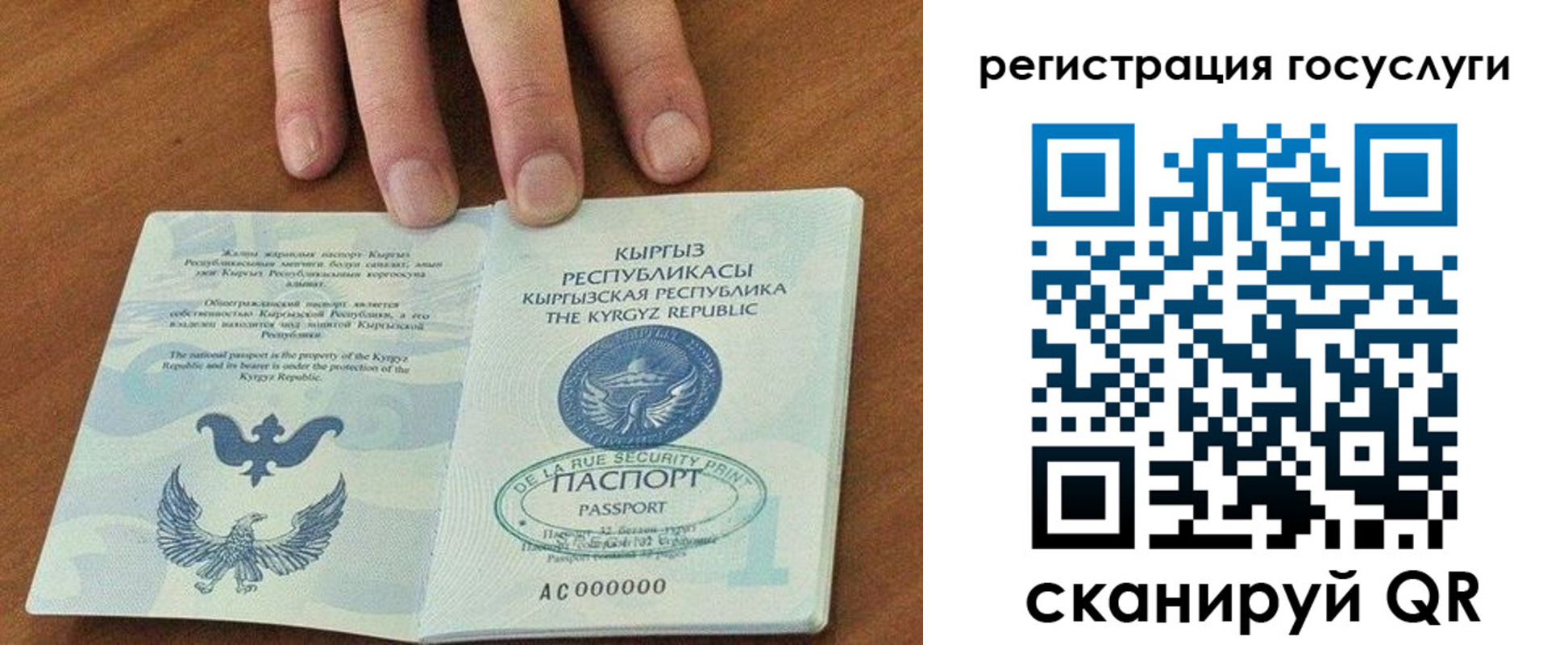 прописка ребенка в Апатитах